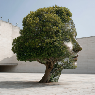 Urban Trees, Pollen, and Botanical Sexism