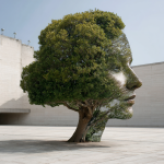 Urban Trees, Pollen, and Botanical Sexism